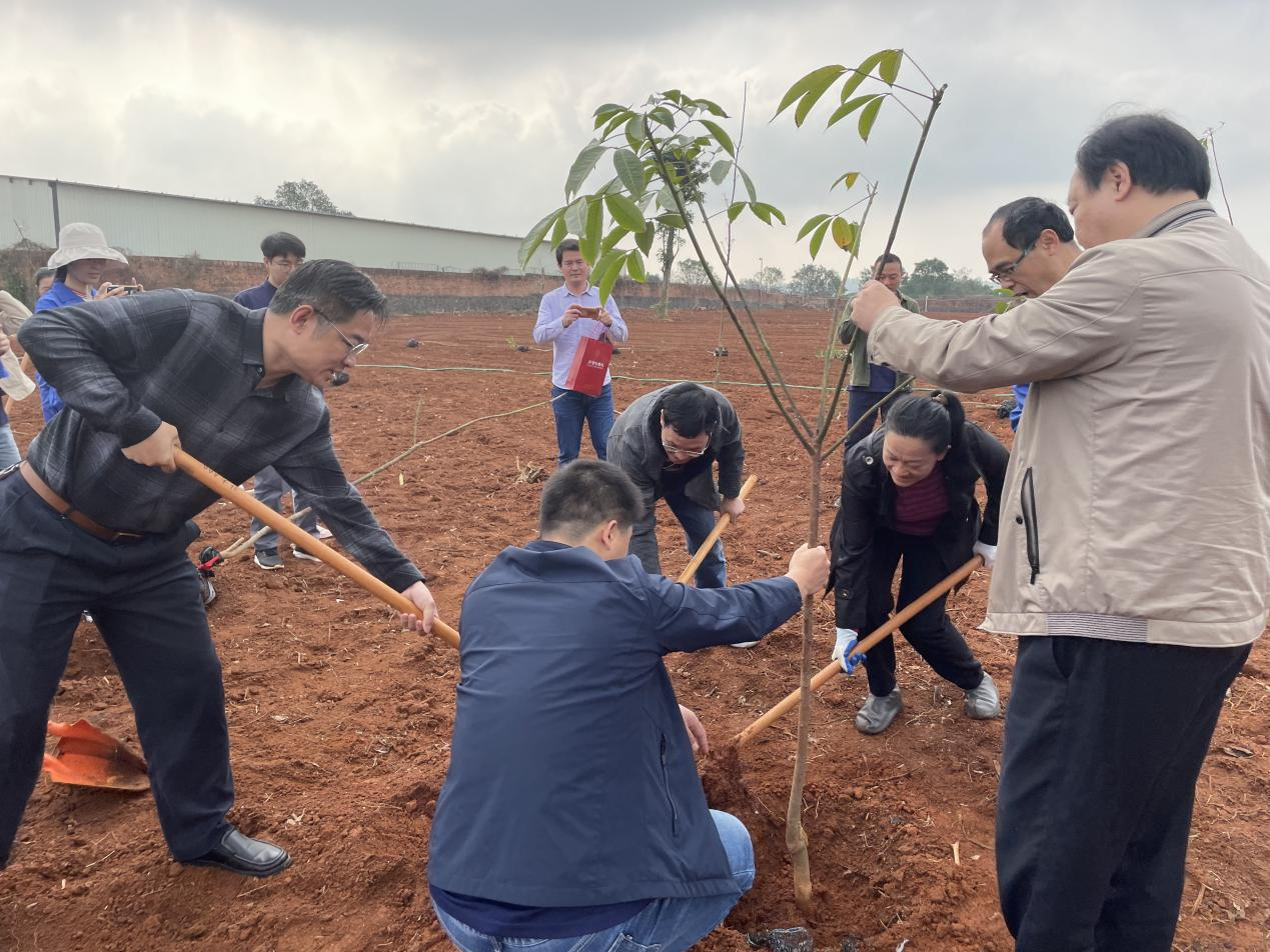 植树现场20240312.png