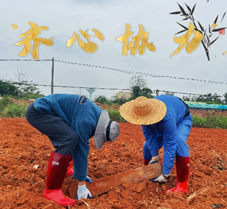 基地整理2.png