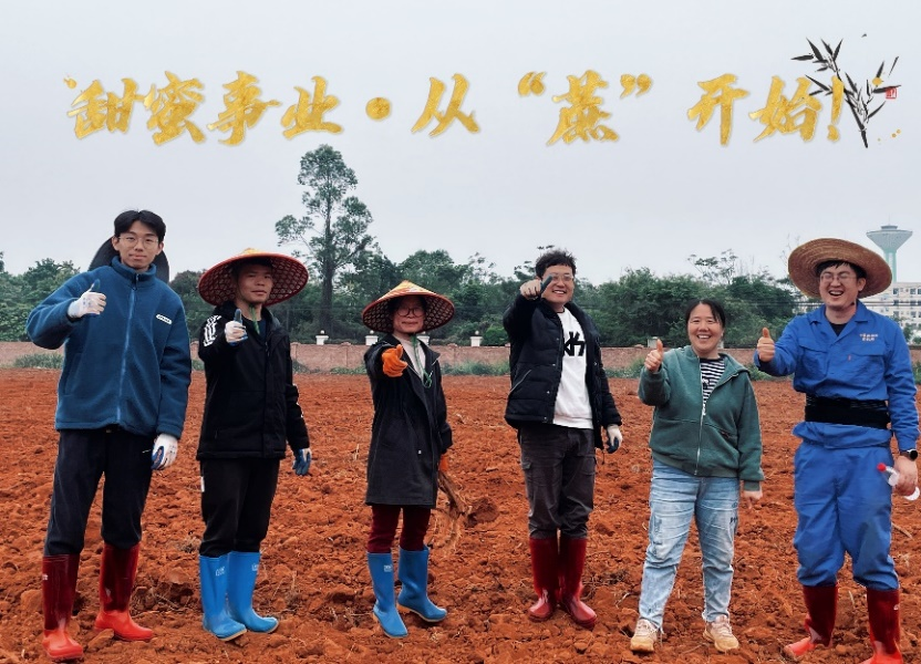 甘蔗团队成员整装下地.png