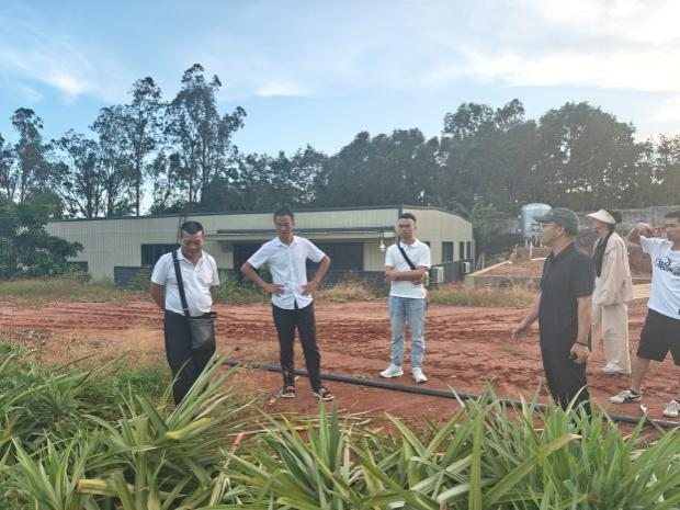 考察菠萝机械化技术试验基地.png